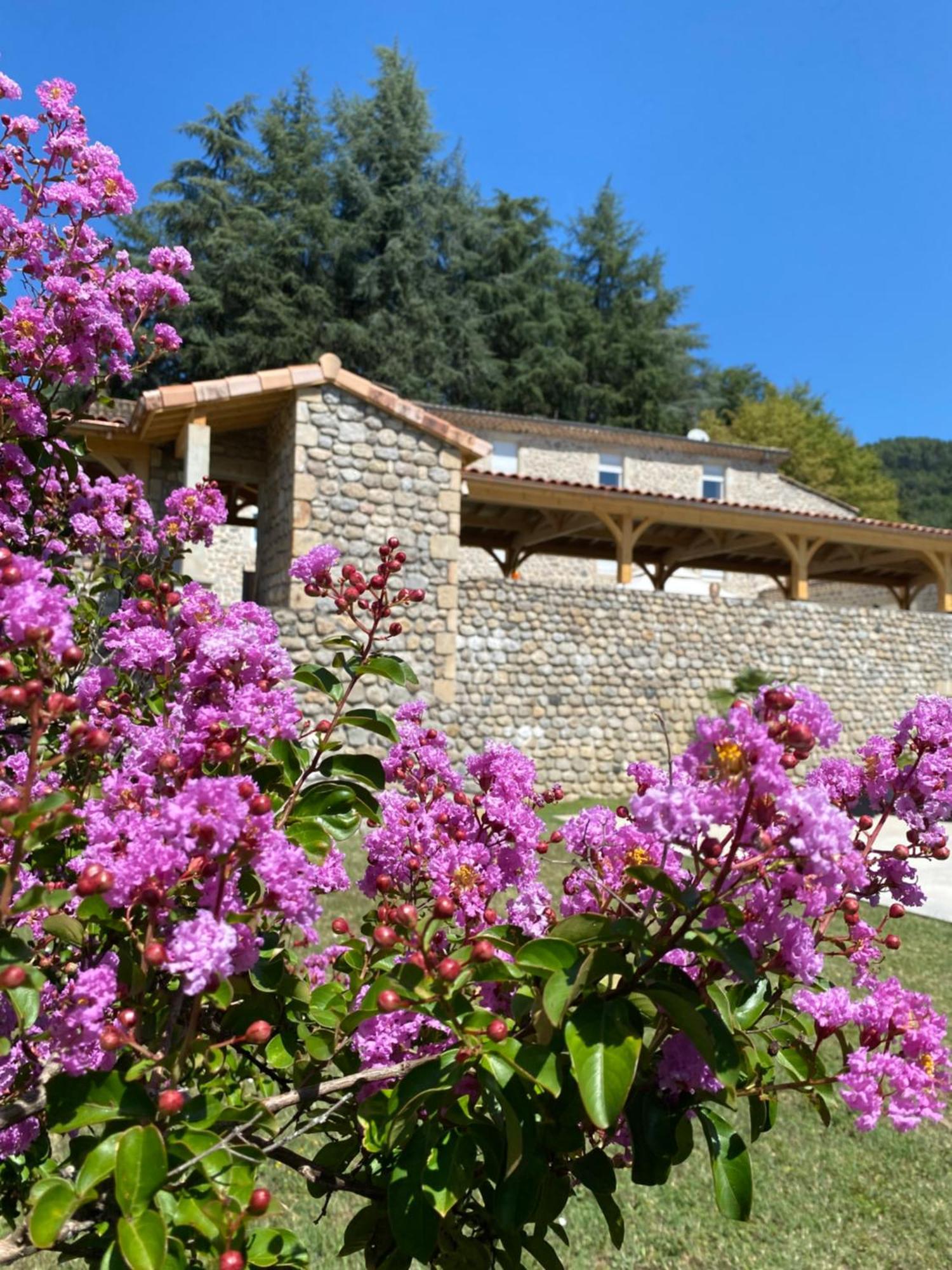 Domaine Les Buis Bed & Breakfast Saint-Fortunat-sur-Eyrieux Ngoại thất bức ảnh